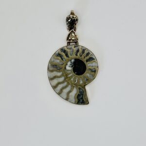 Ammonite Fossil Pendant