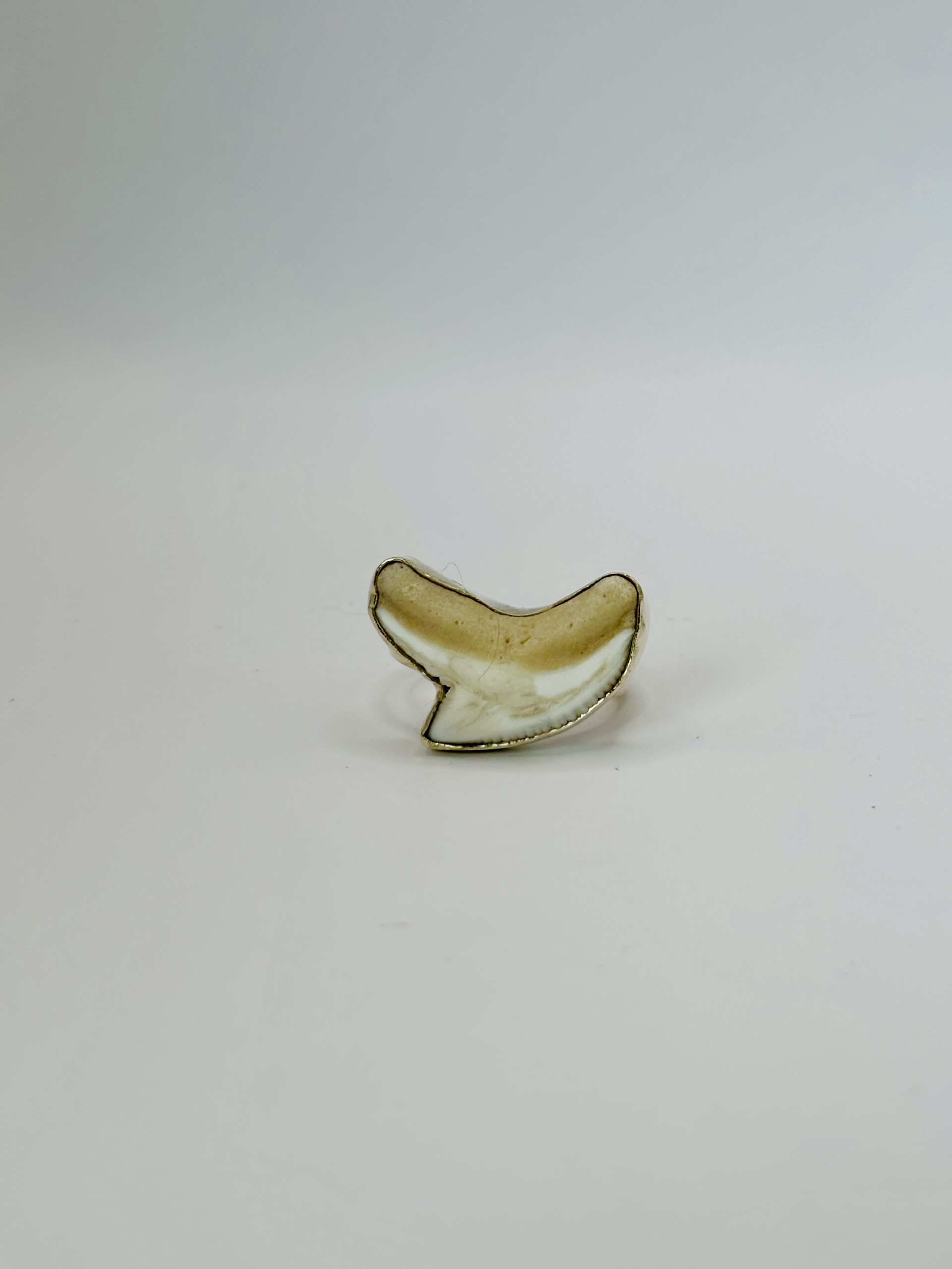 Shark Tooth Ring
